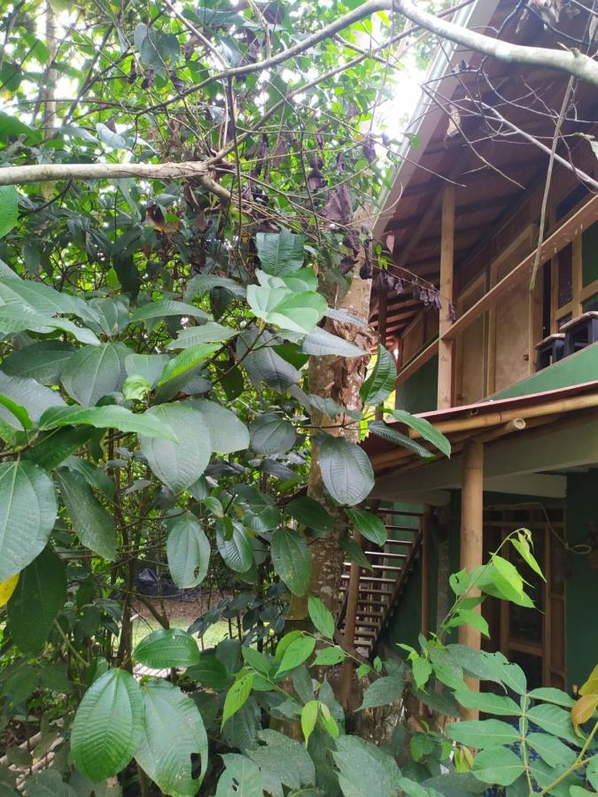 Natural La Cueva De Morgan San Rafael Country house San Rafael (Antioquia)