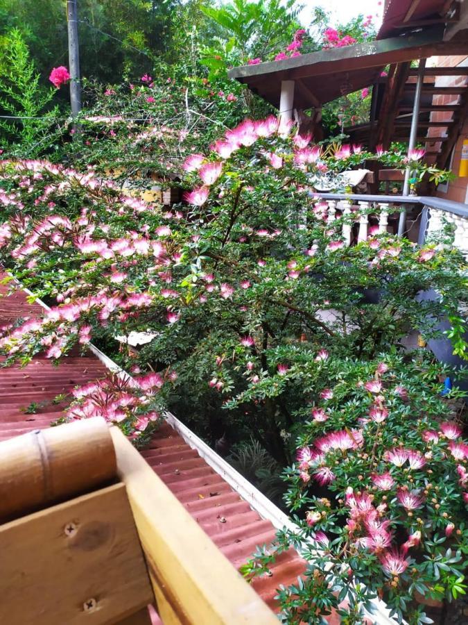 Country house Natural La Cueva De Morgan San Rafael *