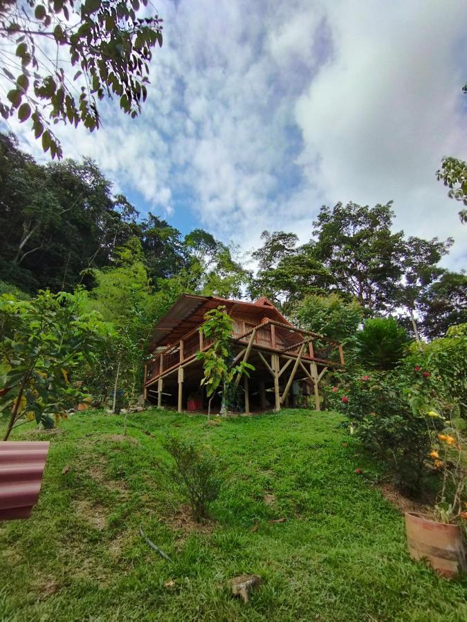 Natural La Cueva De Morgan San Rafael Country house